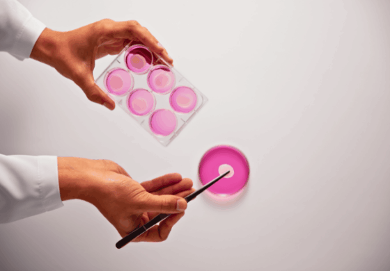 A hand using tweezers to place a sample into a petri dish with pink liquid in a lab.
