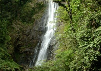 Imagem de uma cachoeira em meio à Mata Atlântica.