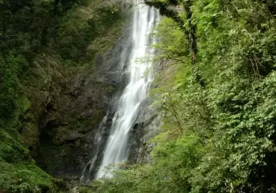 Imagem de uma cachoeira em meio à Mata Atlântica.