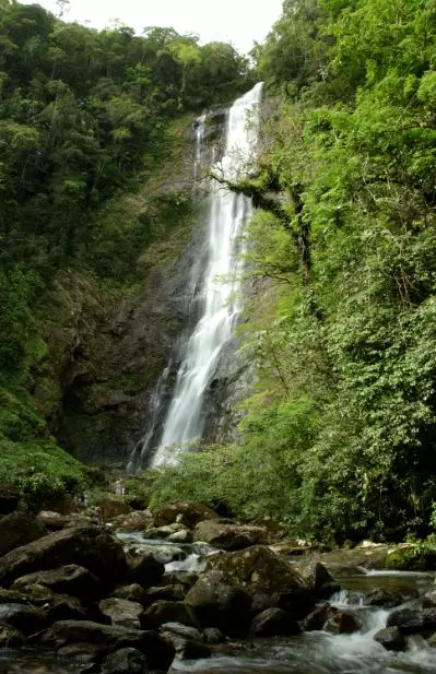 Imagem de uma cachoeira em meio à Mata Atlântica.