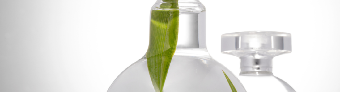 frascos de perfume com folhas dentro, fundo degradê cinza e branco.