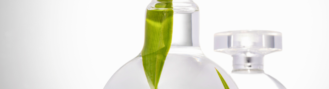 frascos de perfume com folhas dentro, fundo degradê cinza e branco.