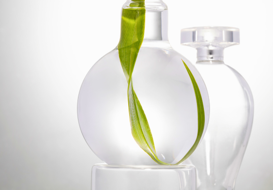 Frascos de perfume com folhas dentro, fundo degradê cinza e branco.