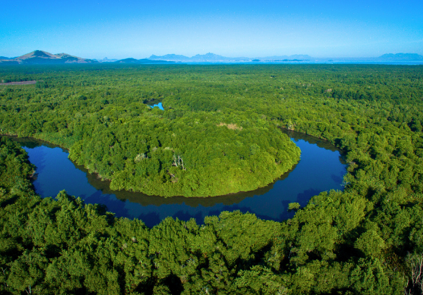 Vista aérea de floresta com rio sinuoso em área preservada da Baía de Guanabara.