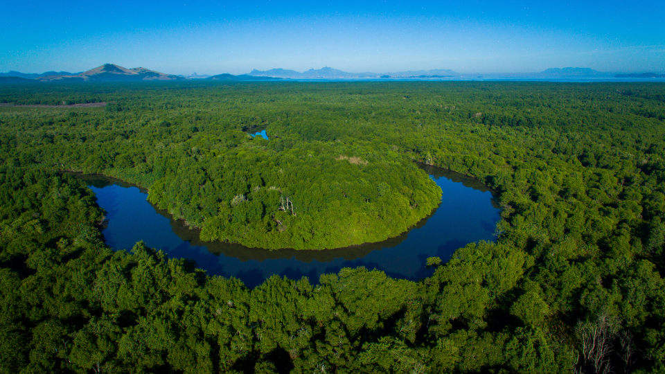 Floresta densa com rio sinuoso vista do alto, em paisagem natural e preservada.
