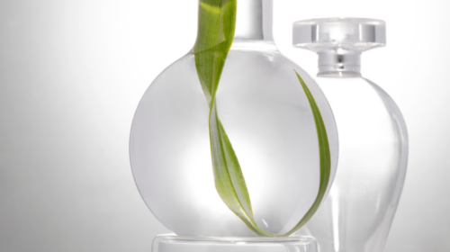 Frascos de vidro com folha verde, simbolizando ciência e natureza.