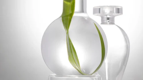 Frascos de vidro com folha verde, simbolizando ciência e natureza.