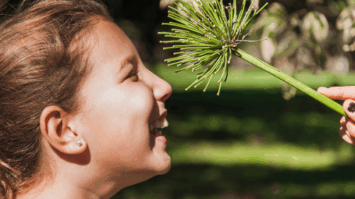 Menina sorridente cheirando uma flor verde com a ajuda de uma mão adulta, ao ar livre.