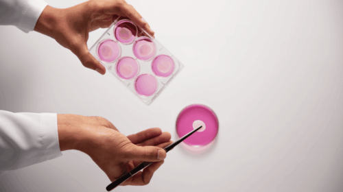 imagem de pesquisa em laboratório.