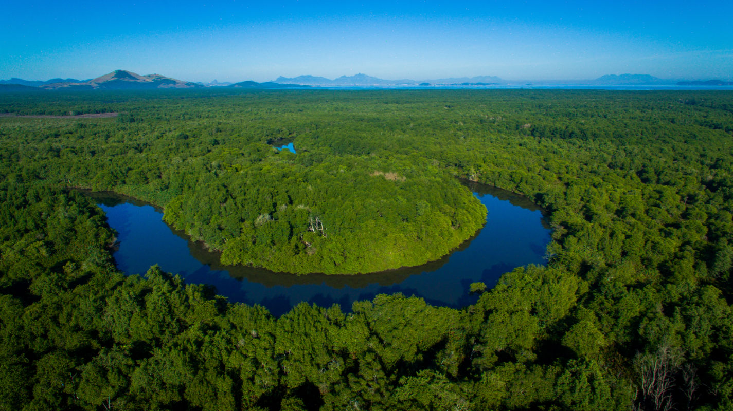 Uma fotografia aérea panorâmica exibe uma vasta e densa extensão de vegetação de manguezal verde e preservada na região da Baía de Guanabara, no Rio de Janeiro. No centro da imagem, um rio de águas calmas e azul-escuras serpenteia em uma curva acentuada no formato da letra "U", contornando uma porção arredondada de floresta. A vegetação arbórea estende-se de maneira contínua até a linha do horizonte sob a luz clara do dia. Ao fundo, a silhueta distante de uma cadeia de montanhas e morros eleva-se sob um céu azul, limpo e sem nuvens, destacando a imensidão e o contraste natural entre a floresta, a água e o relevo fluminense.