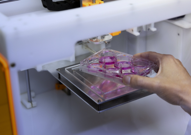 Uma fotografia em plano detalhado e com ângulo ligeiramente oblíquo captura uma mão masculina introduzindo uma placa de cultura celular transparente no interior de um equipamento laboratorial automatizado ou bioimpressora 3D branca. A placa retangular de acrílico contém seis poços circulares preenchidos com um líquido de ensaio em tom rosa-magenta vibrante. A mão segura delicadamente o recipiente pelas bordas enquanto o posiciona sobre uma plataforma metálica quadrada e móvel instalada dentro da máquina. O interior do equipamento revela componentes mecânicos de precisão, guias metálicas e detalhes em plástico laranja e amarelo, criando uma atmosfera tecnológica voltada para a pesquisa científica e o desenvolvimento de métodos alternativos em laboratório.