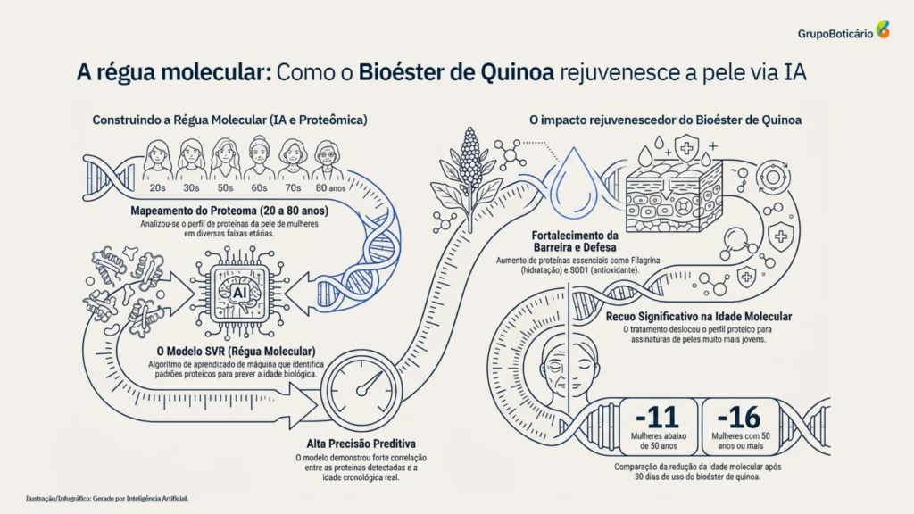 Infográfico do Grupo Boticário explicando como o Bioéster de Quinoa rejuvenesce a pele via IA.
